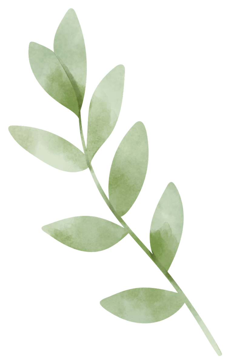 Leafs